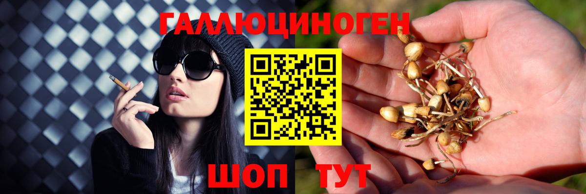 Полевской  Псилоцибиновые грибы мицелий  Вход с VPN 